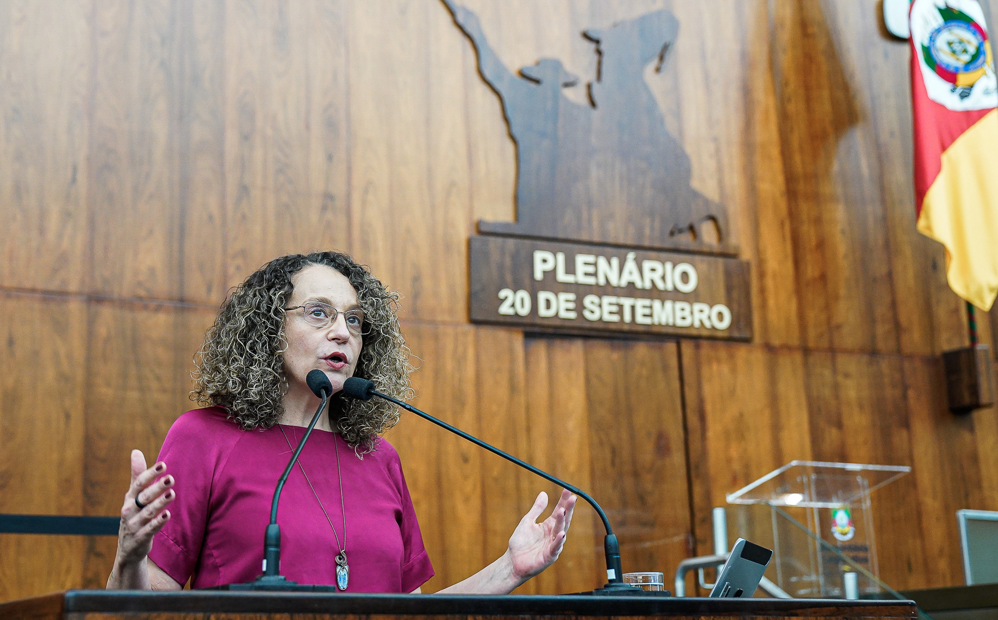 Auxílio federal a atingidos pela enchente: Luciana Genro pede que governo crie portal de transparência