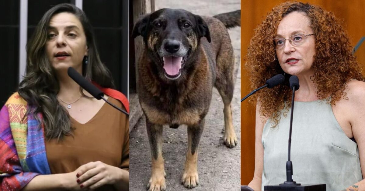 Fernanda Melchionna e Luciana Genro pedem federalização do caso Orelha após incoerências e falhas nas investigações