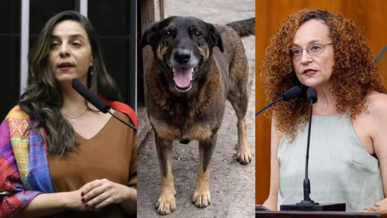 Fernanda Melchionna e Luciana Genro pedem federalização do caso Orelha após incoerências e falhas nas investigações